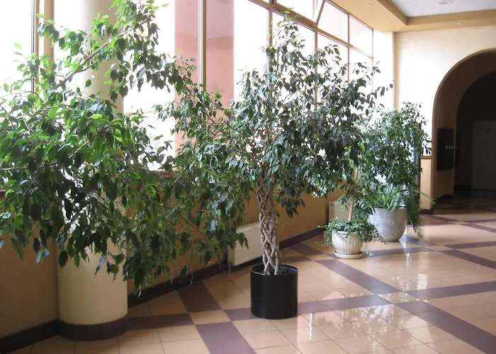 Diplomat Aparthotel Київ